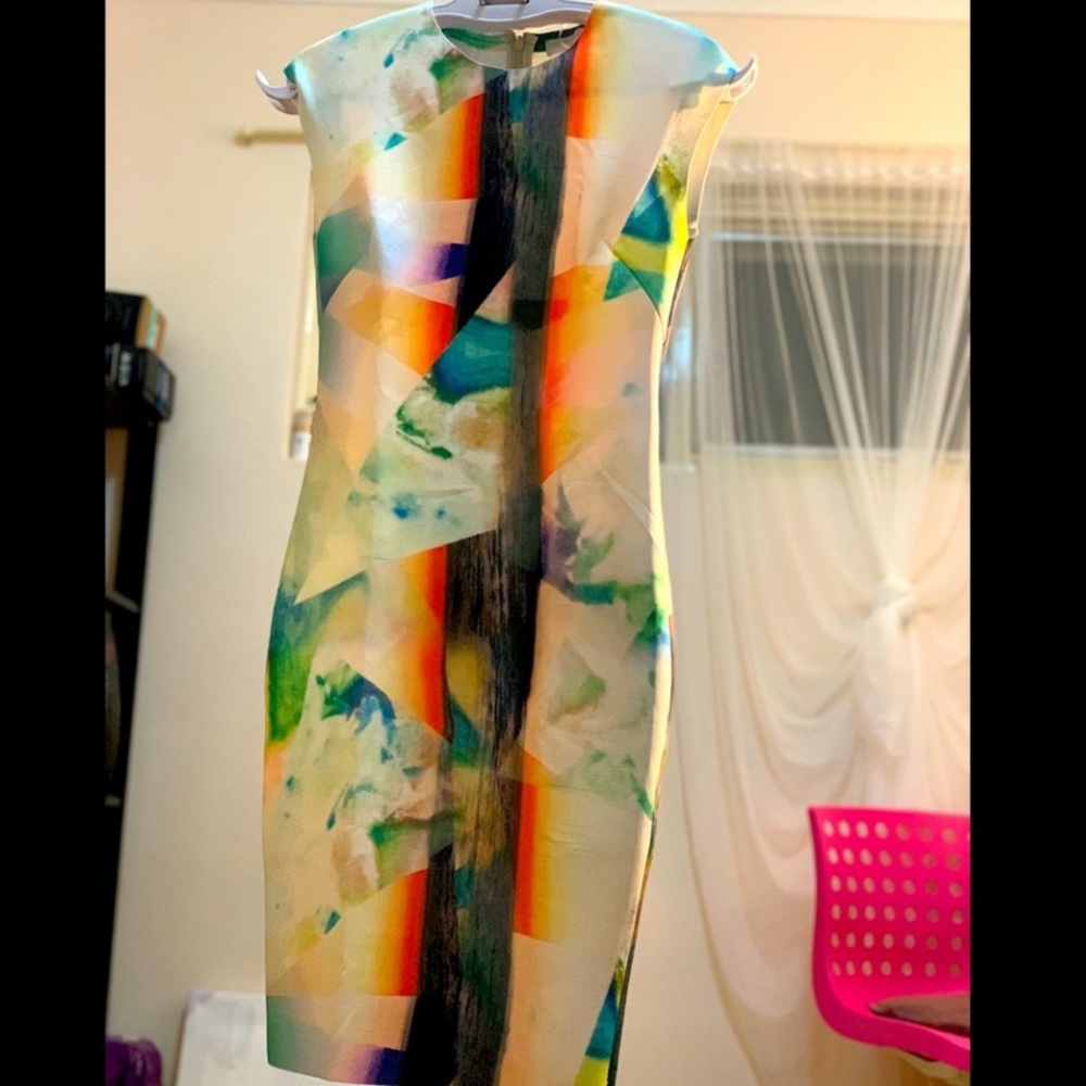 ZARA BODY FITTED DRESS (Size Small) - Picture 5 of 9